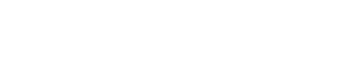 Devsinc company logo